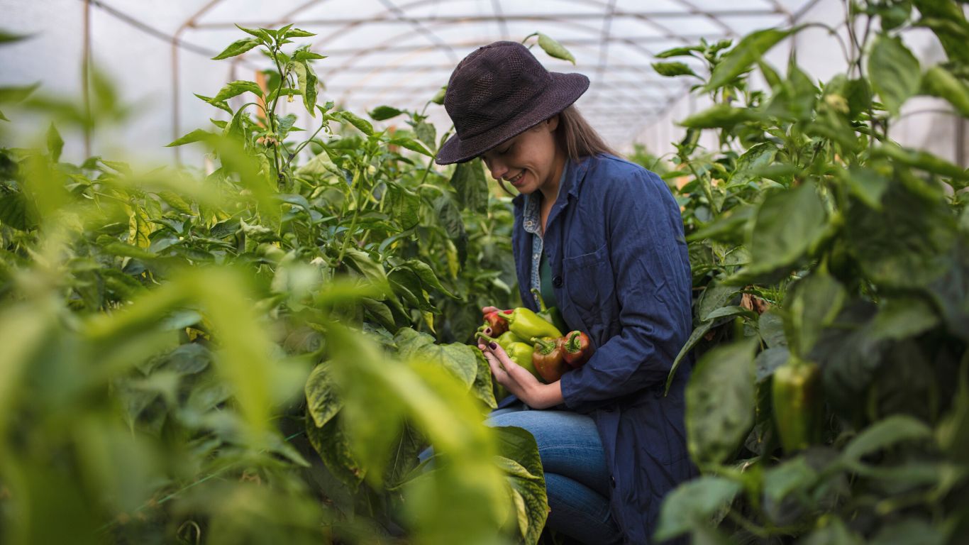 Versicherungen für Unternehmen 2 Versicherungen für Unternehmen svg+xml;charset=utf