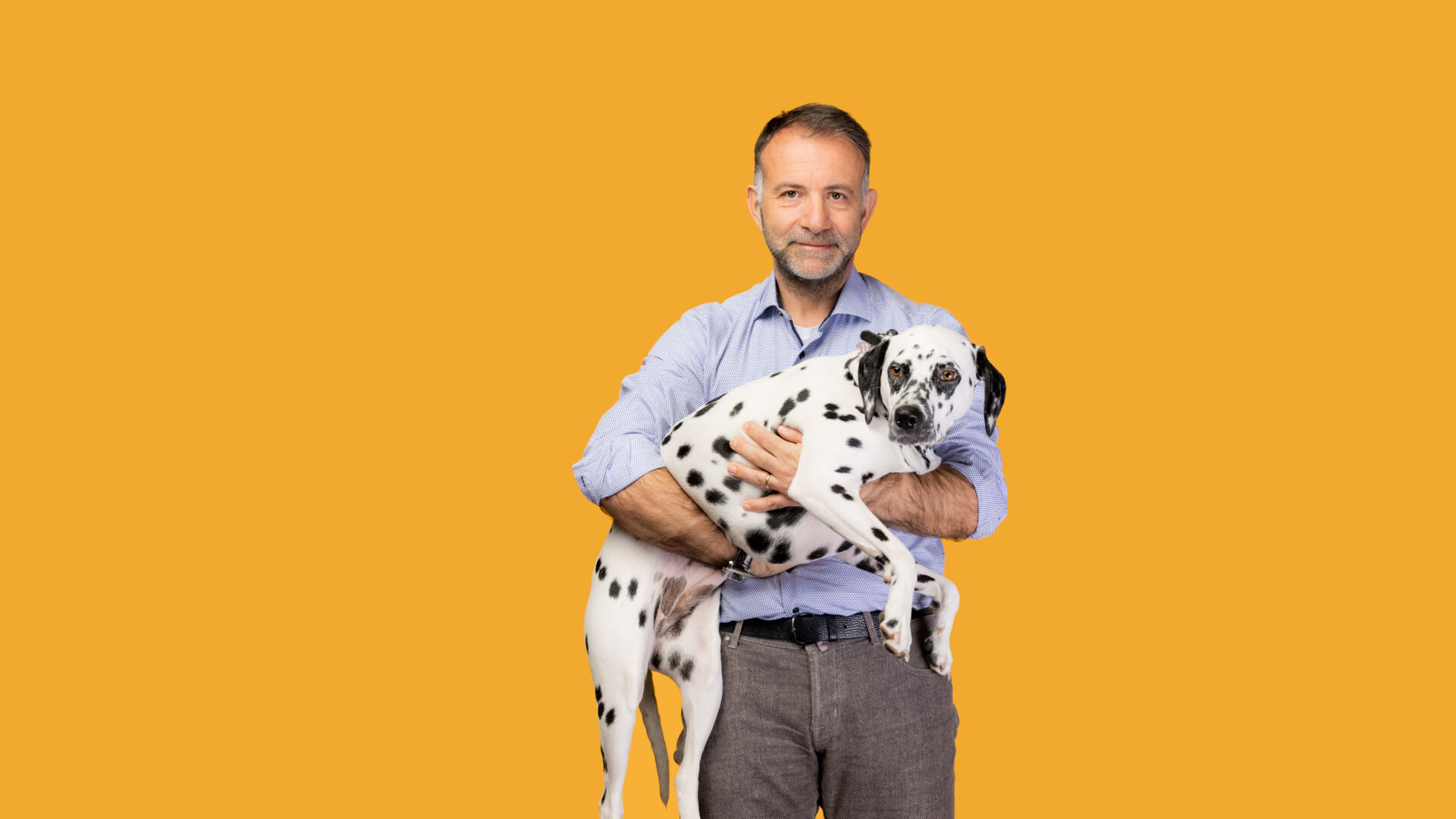 Assicurazione animali domestici 1 Assicurazione animali domestici andrea assicurazione animali domestici