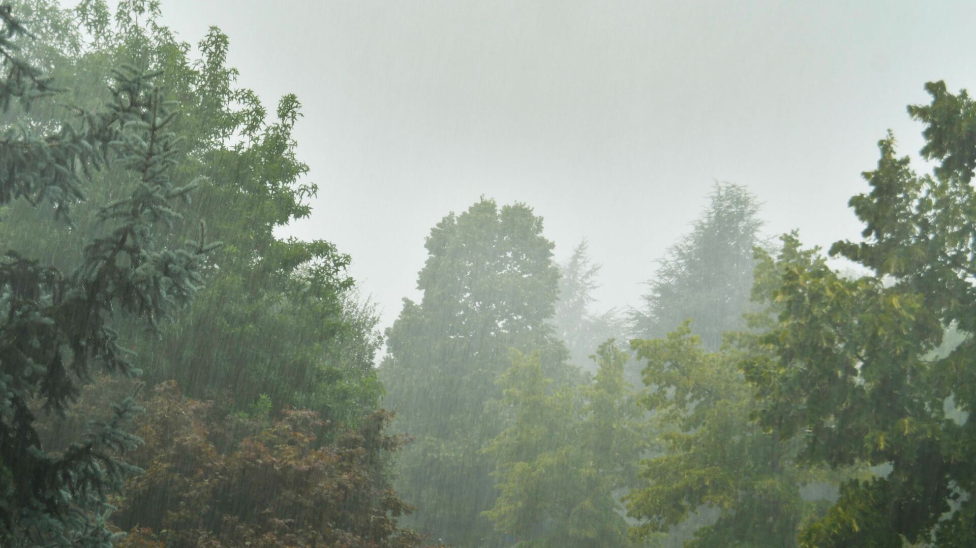 Assicurazione eventi atmosferici 3 assicurazione eventi atmosferici