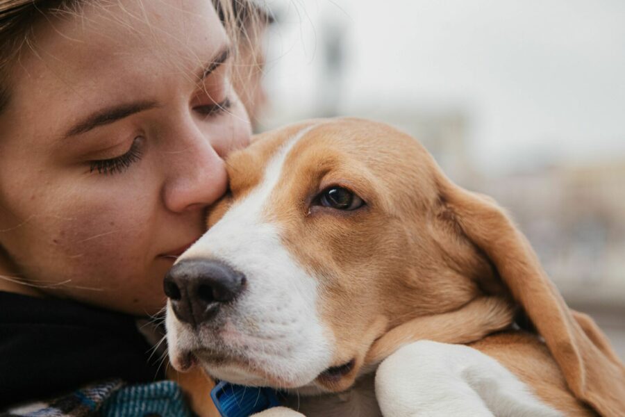 L'assicurazione per animali domestici per proteggere i nostri cani e gatti assicurazione per animali domestici 3