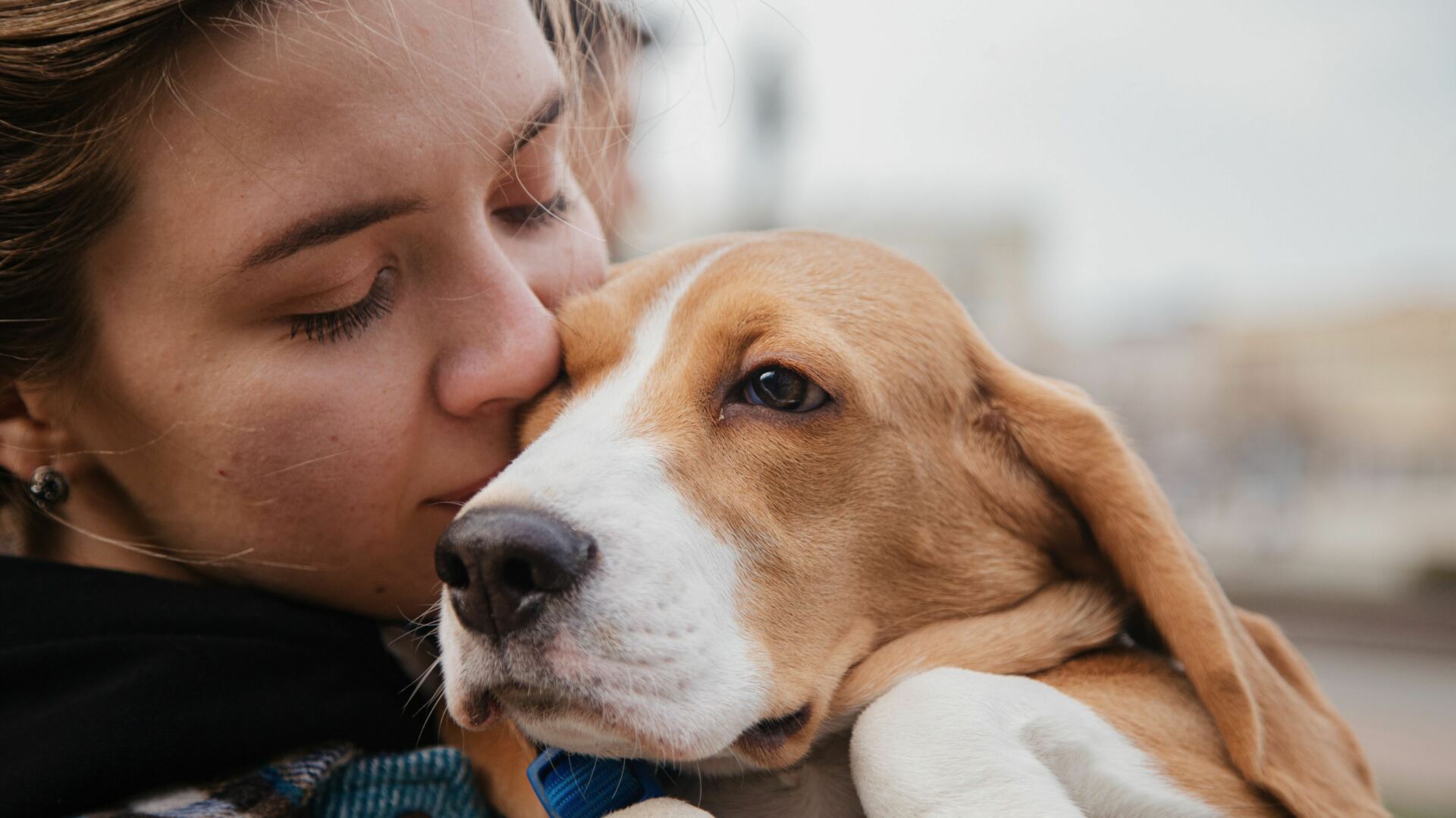 L'assicurazione per animali domestici per proteggere i nostri cani e gatti assicurazione per animali domestici 3